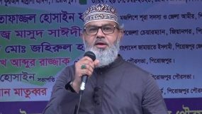 শেখ হাসিনা বলেছিলেন তিনি পালাবেন না, কিন্তু পালিয়েছেন: মাসুদ সাঈদী